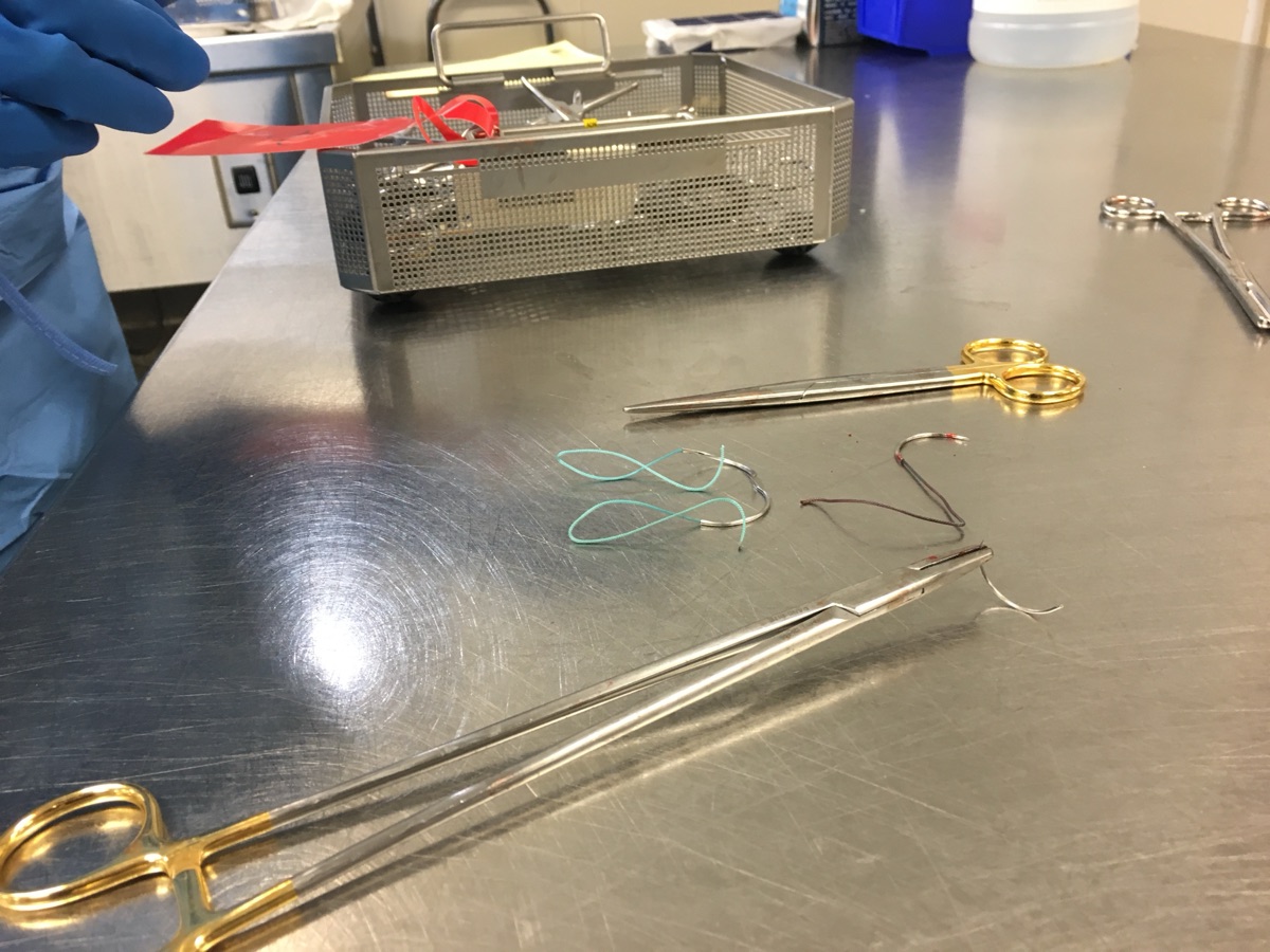 Sterile processing students working hands-on with surgical instruments